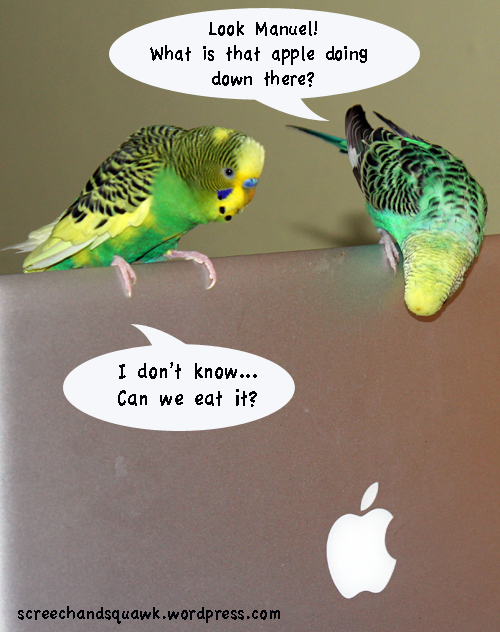 Computer parrots