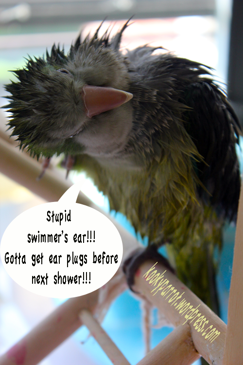 Post-shower troubles...
