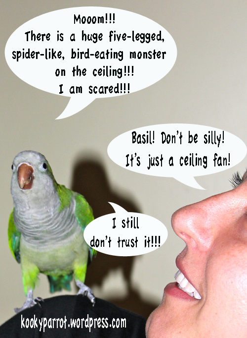 Parrot is scared...