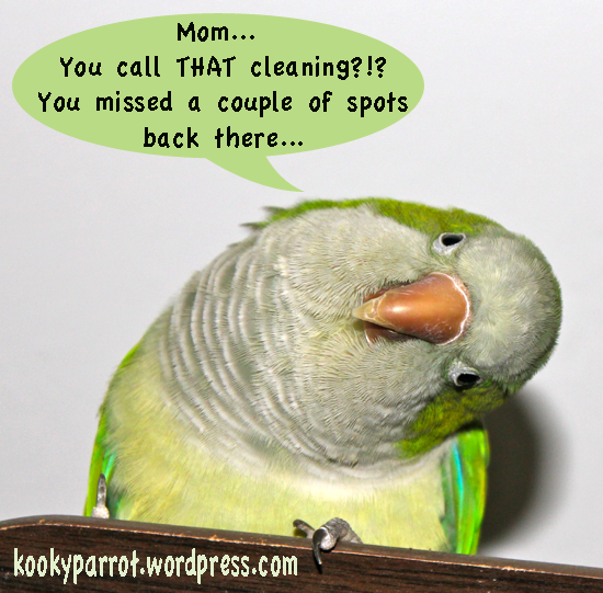 Parrot supervisor: